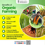 Soil Health