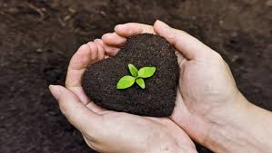 Eco-friendly Farming