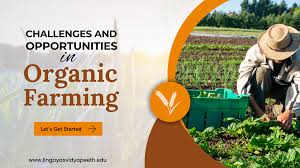 Organic Farming Techniques